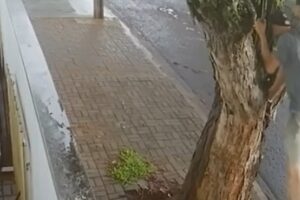 WhatsApp Image 2026-03-26 at 12.20.58