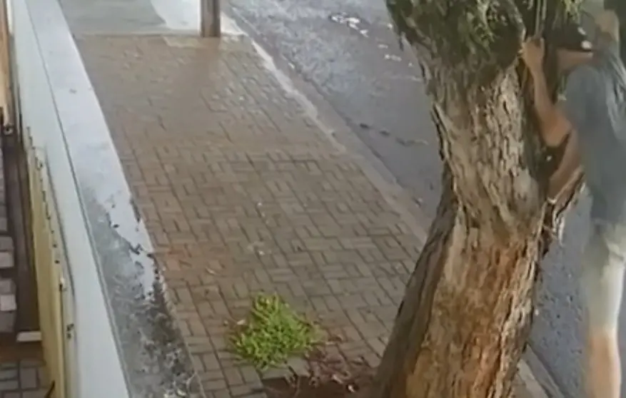 WhatsApp Image 2026-03-26 at 12.20.58