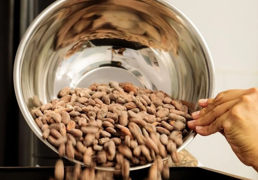 WhatsApp Image 2026-03-26 at 17.34.55 (1)