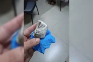 a-droga-estava-na-mochila-do-bebe-01073872-0-202603181543-ProportionalFillBackground