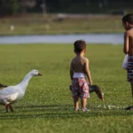 Curitiba-01-10-2020 – Calor em Curitiba – Parque Barigui