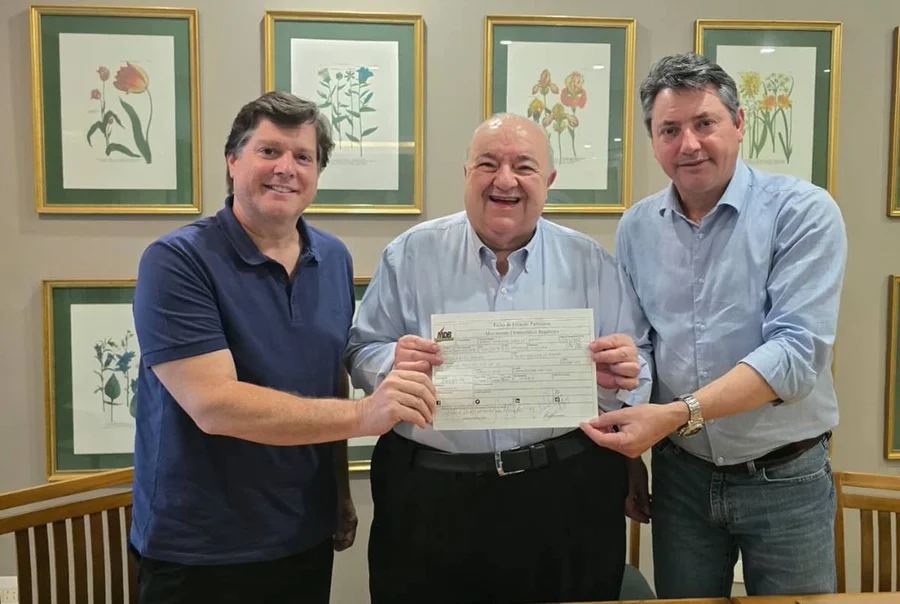 greca-baleia-filicao