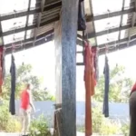 maniaco-das-calcinhas-invade-casas-furtar-pecas-intimas-768×474