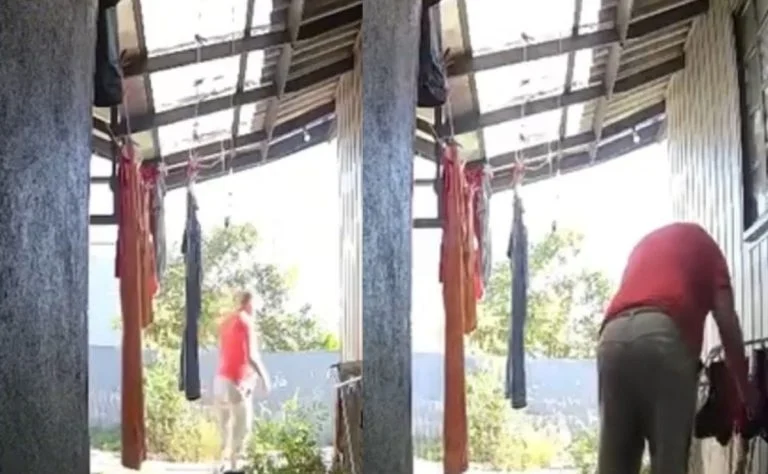 maniaco-das-calcinhas-invade-casas-furtar-pecas-intimas-768×474