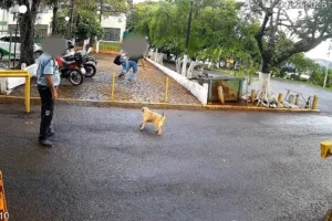 seguranca-observa-assalto-e-nao-reage-01071113-0-202603091708-3