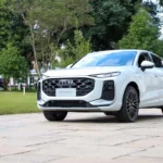 whatsapp_image_2026-03-03_at_16.25.122