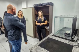 whatsapp_image_2026-03-18_at_08.15.52_1