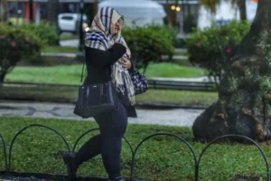 005fdd54-b6f8-4c13-854a-9feb2e69d882