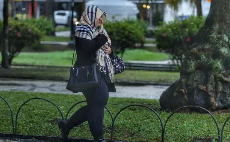 005fdd54-b6f8-4c13-854a-9feb2e69d882