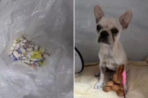 0fc854b9-8838-46b2-b52e-e6834bd64b73