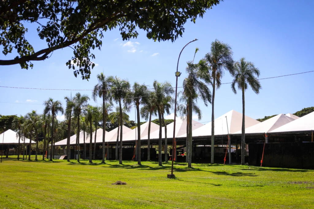 35f54b85-37bb-40f1-9b06-064351c96ecf