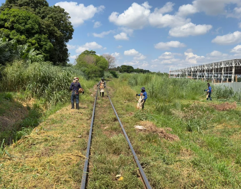 3d87d48f-5f11-4243-afa2-038302f250ca_089361324281cffaeb1ef3566a610756