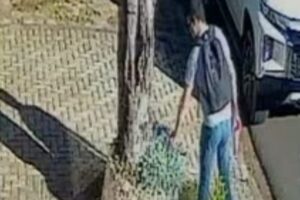 Acompanhe o GMC Online no Instagram Clique aqui e receba as nossas notícias pelo WhatsApp Entre no canal do GMC Online no Instagram (11)