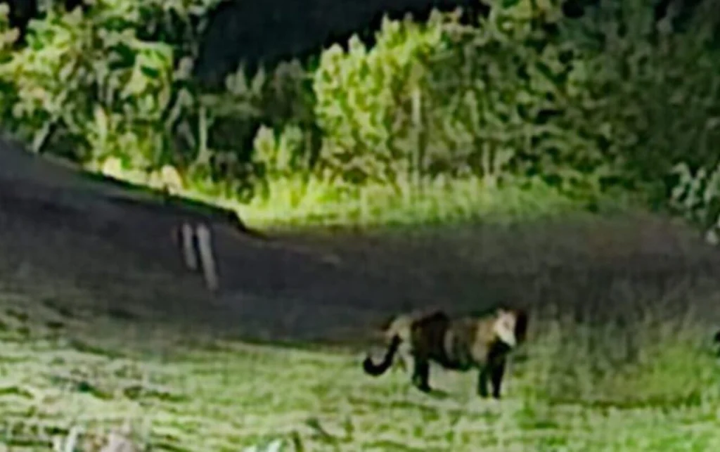 Acompanhe o GMC Online no Instagram Clique aqui e receba as nossas notícias pelo WhatsApp Entre no canal do GMC Online no Instagram (15)