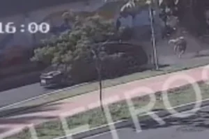 Acompanhe o GMC Online no Instagram Clique aqui e receba as nossas notícias pelo WhatsApp Entre no canal do GMC Online no Instagram (2)