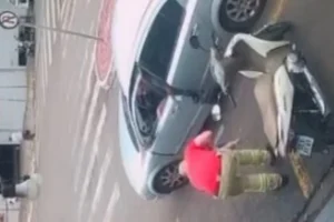 Acompanhe o GMC Online no Instagram Clique aqui e receba as nossas notícias pelo WhatsApp Entre no canal do GMC Online no Instagram (4)