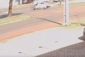 Acompanhe o GMC Online no Instagram Clique aqui e receba as nossas notícias pelo WhatsApp Entre no canal do GMC Online no Instagram (8)