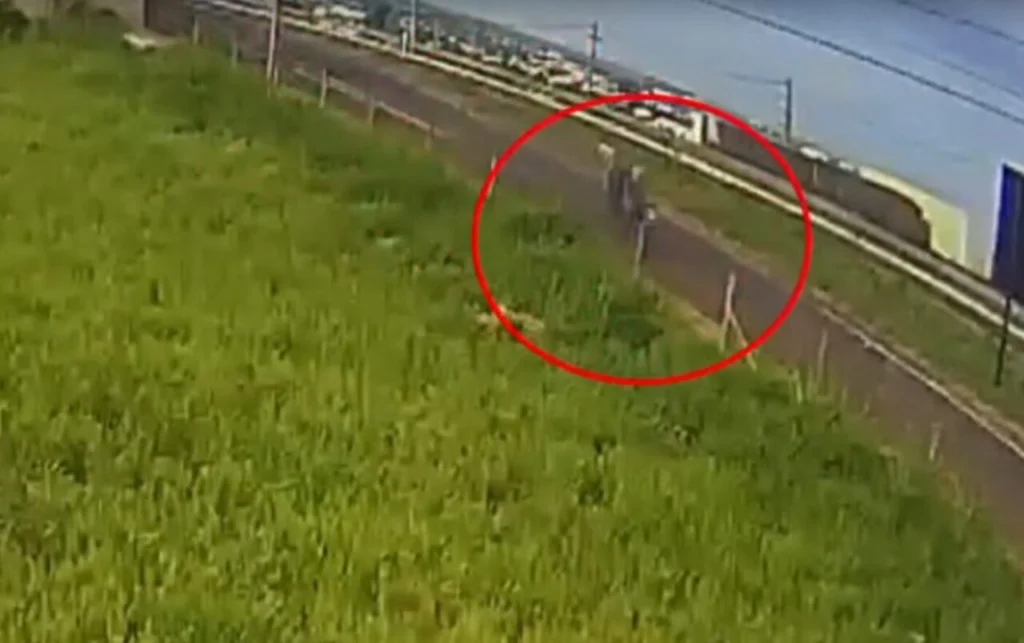 Acompanhe o GMC Online no Instagram Clique aqui e receba as nossas notícias pelo WhatsApp Entre no canal do GMC Online no Instagram (8)