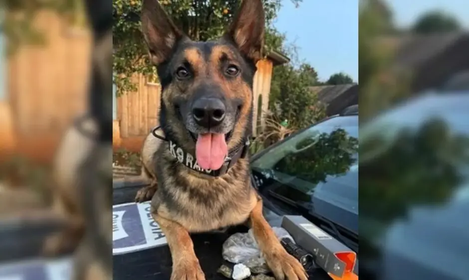 Captura de tela 2026-04-23 150740