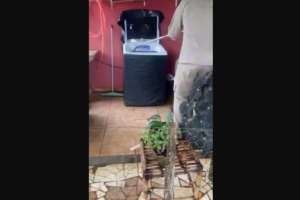 Captura de tela 2026-04-29 113323