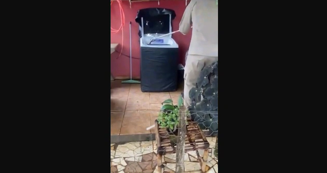 Captura de tela 2026-04-29 113323