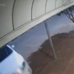 Design sem nome (42)