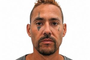 Design sem nome (56)