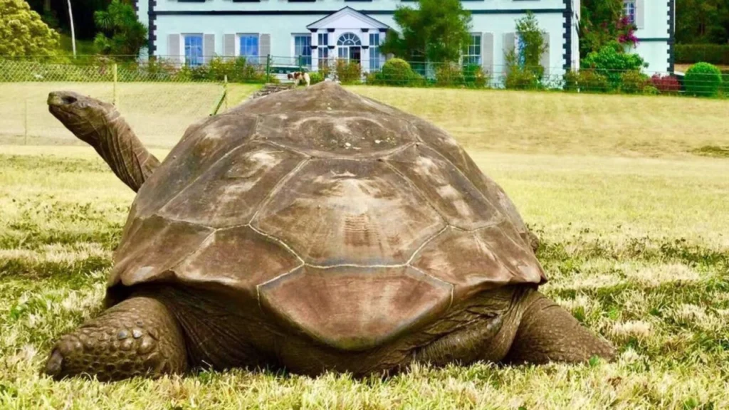 GOUHTC4DCBHDHEICQ3GRO2FGFM