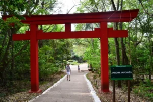 Jardim Japonês