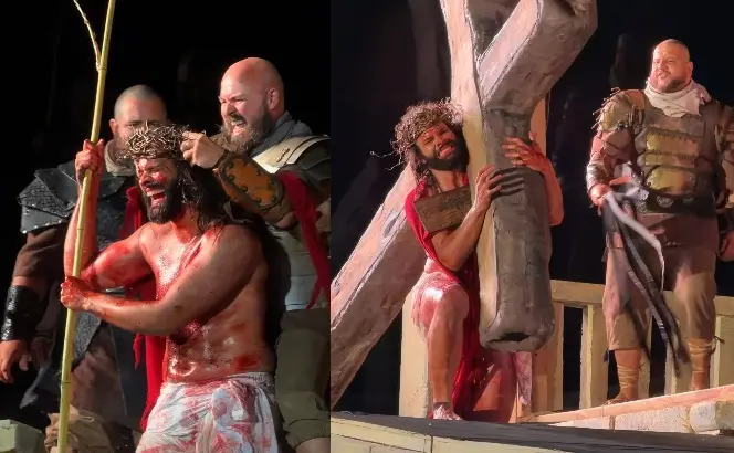 WhatsApp Image 2026-04-02 at 11.33.39