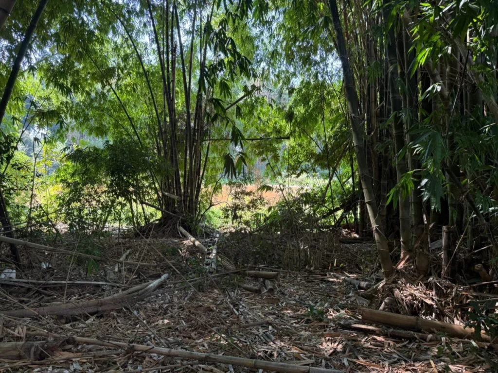 WhatsApp Image 2026-04-02 at 12.53.34