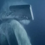 Empresa maringaense cria 1º museu subaquático dentro do mar no Brasil