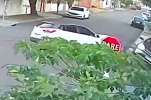 WhatsApp Image 2026-04-02 at 18.33.46