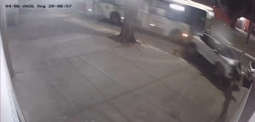 WhatsApp Image 2026-04-07 at 15.47.00