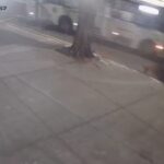 WhatsApp Image 2026-04-07 at 15.47.00