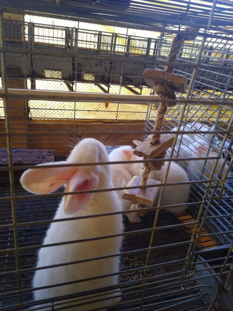 WhatsApp Image 2026-04-10 at 15.29.06 (1)