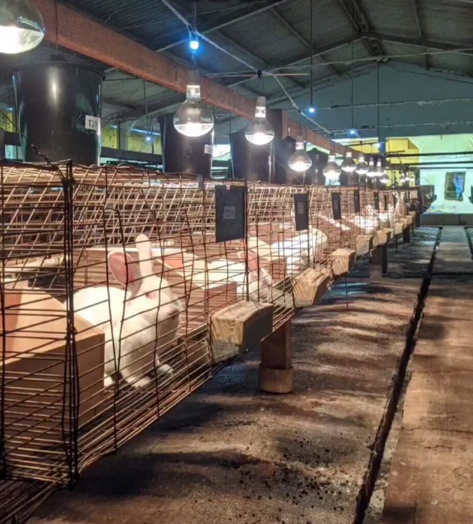 WhatsApp Image 2026-04-10 at 15.29.06 (2)