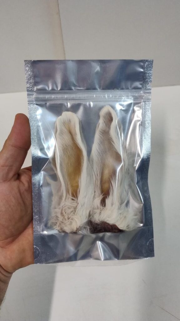 WhatsApp Image 2026-04-10 at 15.29.06