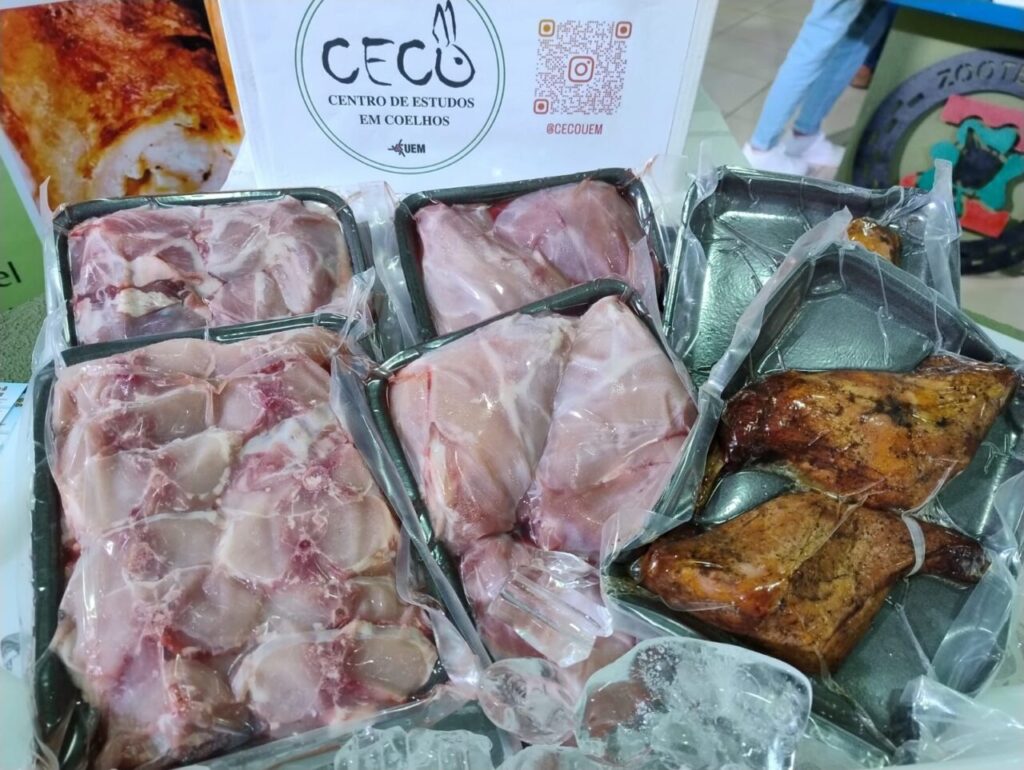 WhatsApp Image 2026-04-10 at 15.29.07