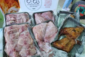 WhatsApp Image 2026-04-10 at 15.29.07