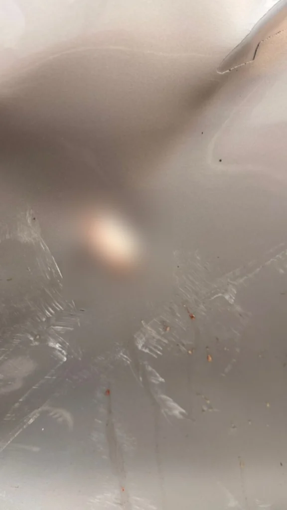 WhatsApp Image 2026-04-13 at 11.46.43