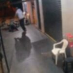 WhatsApp Image 2026-04-13 at 12.34.31