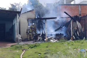 WhatsApp Image 2026-04-14 at 17.15.48