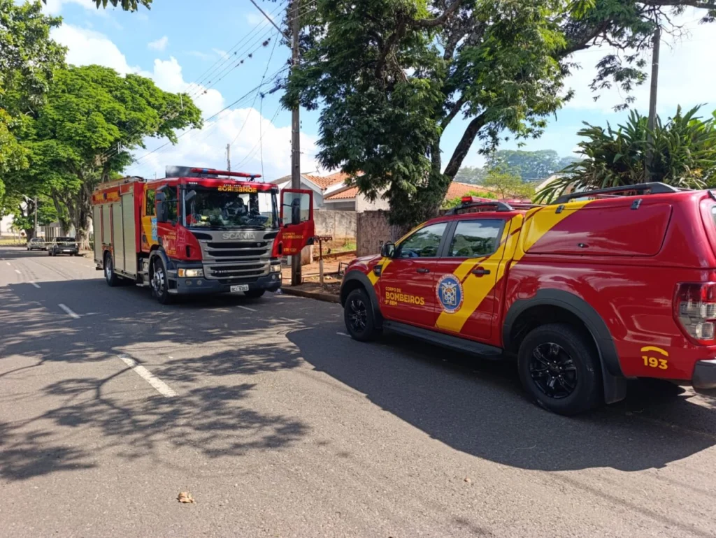 WhatsApp Image 2026-04-14 at 17.15.52