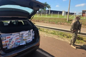 WhatsApp Image 2026-04-14 at 17.42.48 (1)