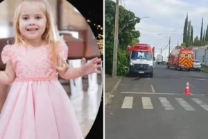 WhatsApp Image 2026-04-17 at 08.25.08