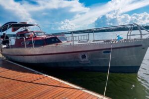 WhatsApp Image 2026-04-20 at 10.01.51