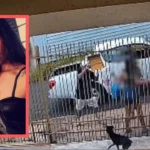 WhatsApp Image 2026-04-22 at 08.56.29