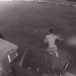 WhatsApp Image 2026-04-24 at 19.17.15