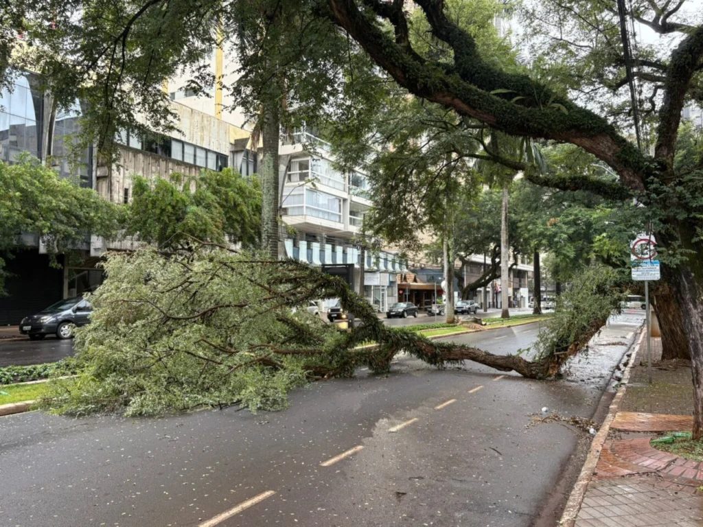 WhatsApp Image 2026-04-27 at 07.36.38